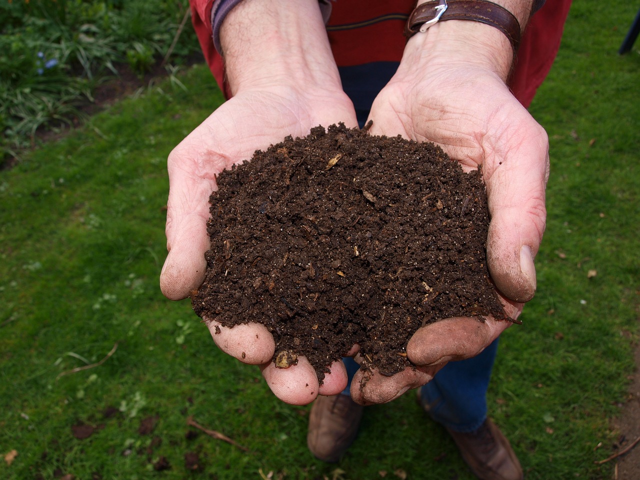 What Is the Difference between Mulch, Compost, and Topsoil – Understanding the Basics